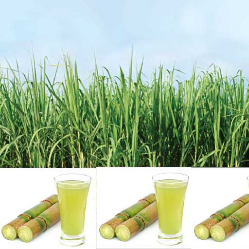 Sugarcane Juice (Ganne Ka Ras) 300 ml
